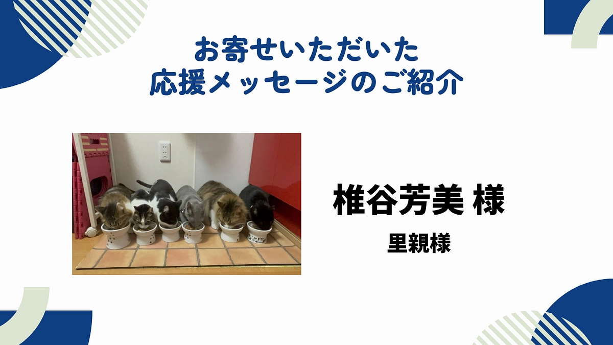 お寄せいただいた応援メッセージのご紹介　〜椎谷芳美様〜