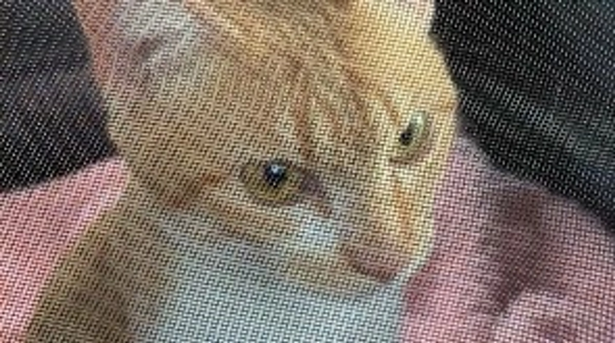 投薬75日目（プロジェクト開始35日目）