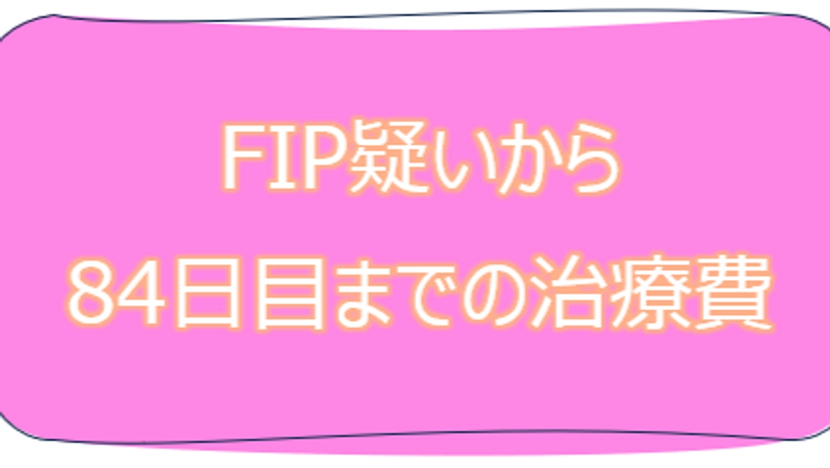 【確定】治療費のご報告