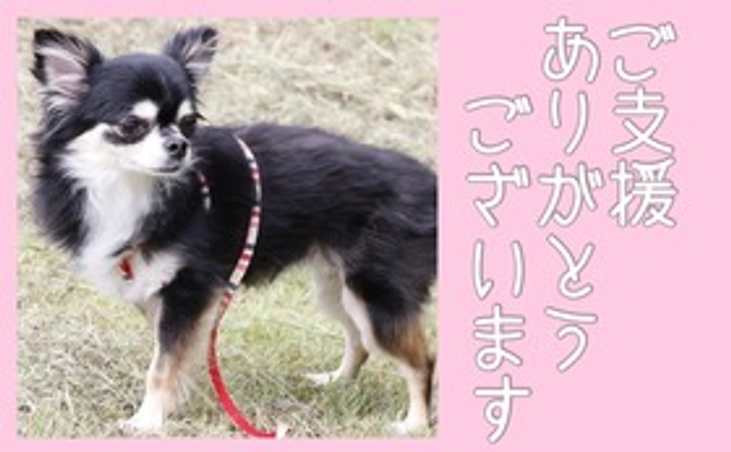 メルへのご支援ありがとうございます①