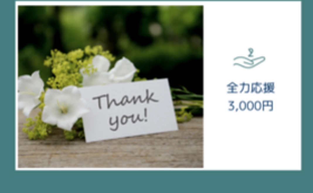 【全力応援/3,000円】御礼のメール