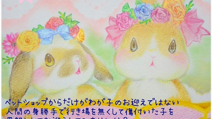 小さなお子さんにも届く、動物愛護のグッズを制作したい！