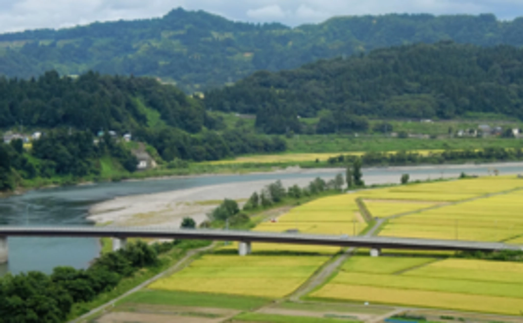 【活動を見守ってください！】活動報告書をお送りします！
