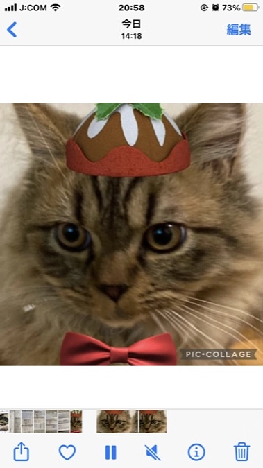 あずきの好きな物