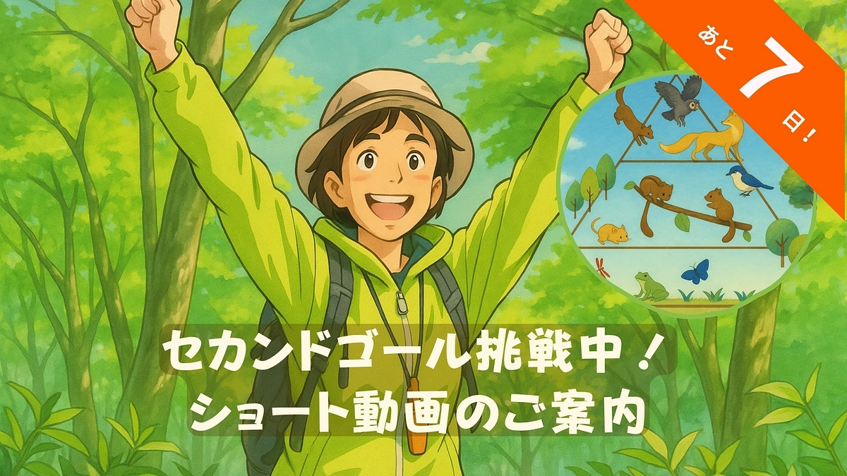 🌿新着動画公開のお知らせ🌿