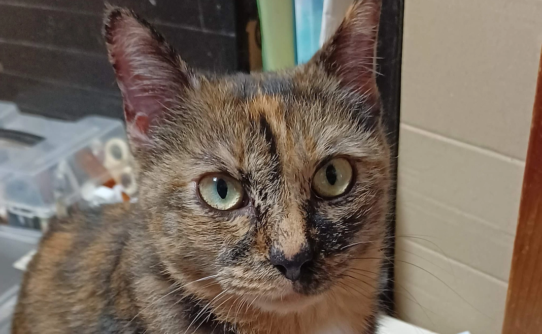 感謝のメール⑫