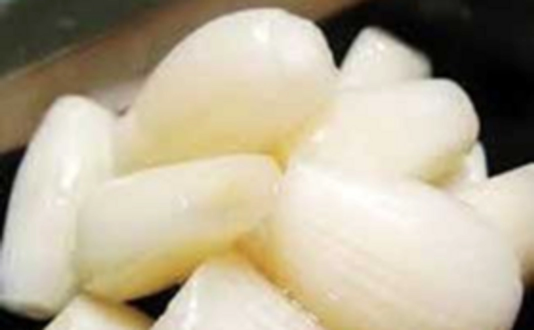 らっきょう加工品コース