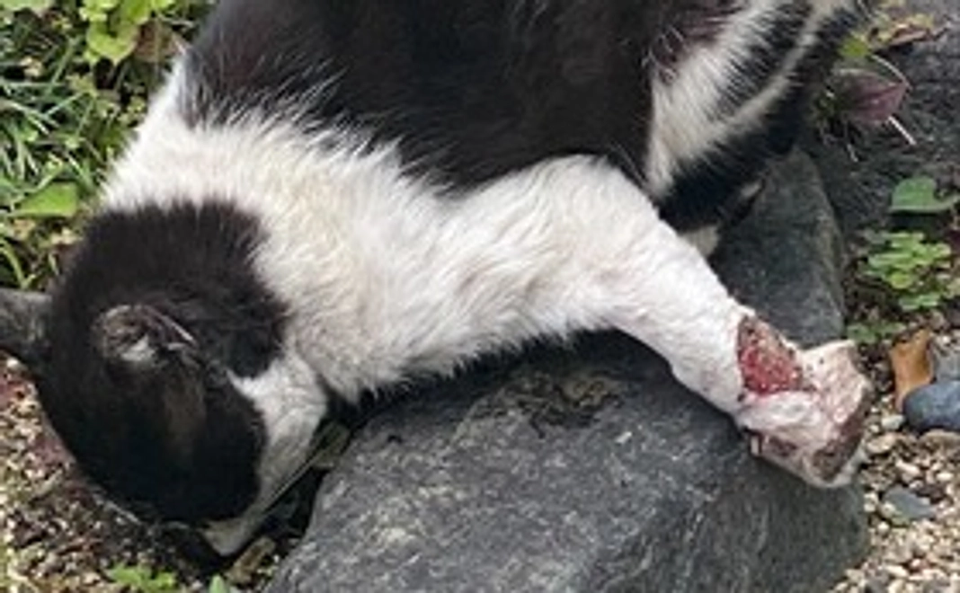 あり得ない方向に左脚が曲がっています