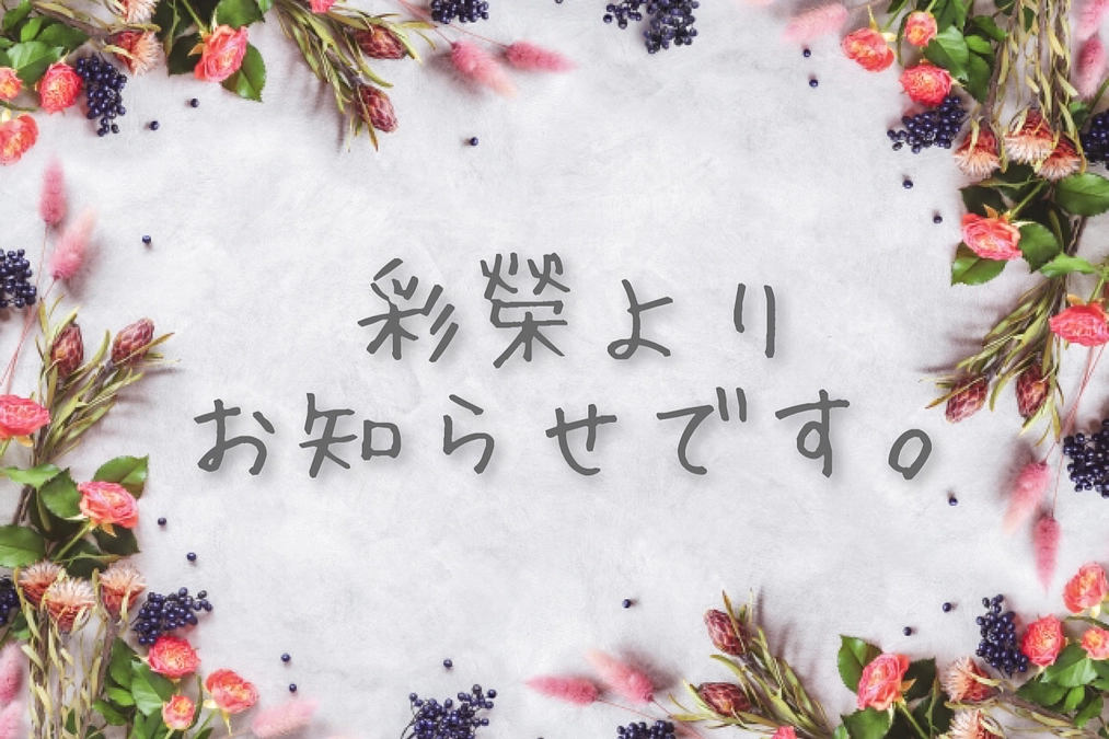 🍀~ஐ プロジェクトのその先へ ஐ*°🍀