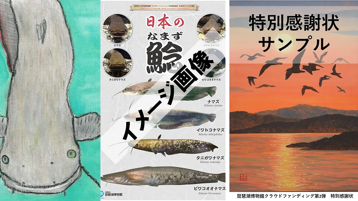 新たにいただいた応援メッセージの紹介、およびリターンの一部公開について