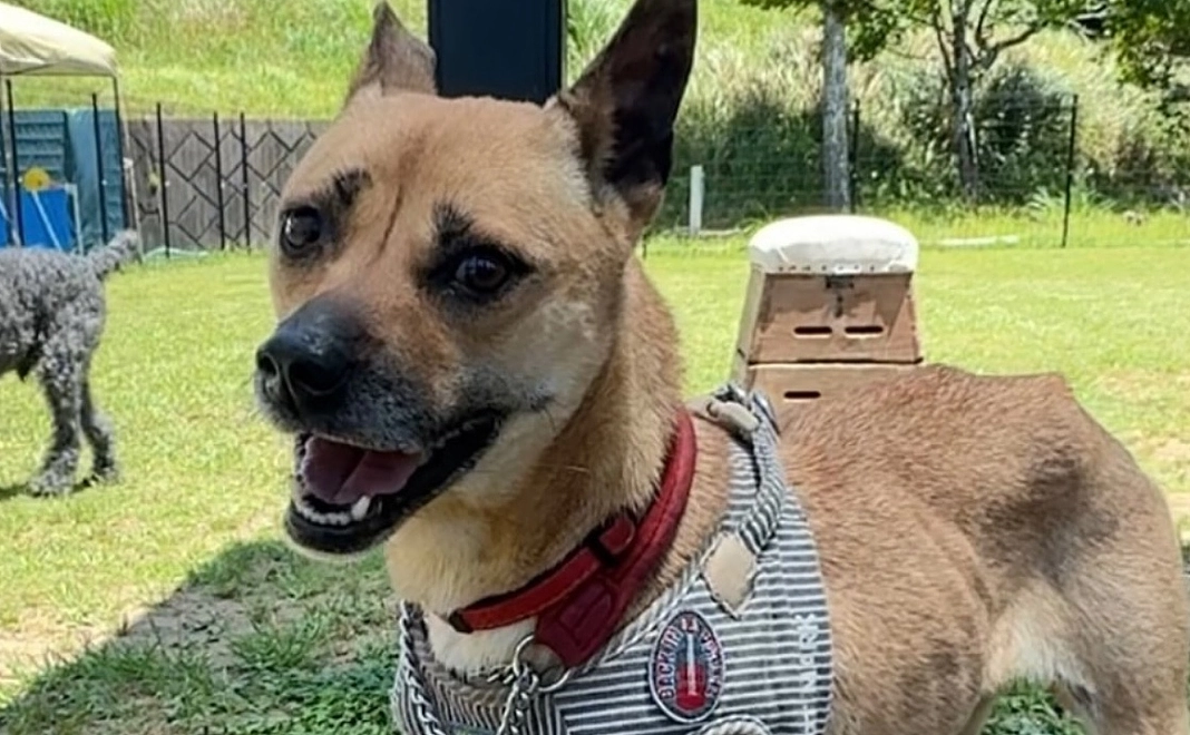 シルバーサポーター⭐︎50万円