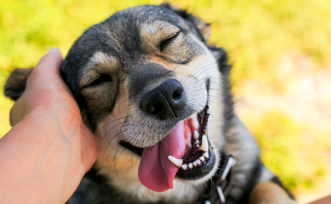 【リターン不要な方向け】10,000円コース