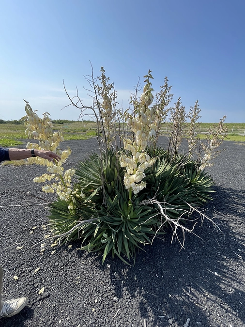 素敵なギフトをいただきました❤️