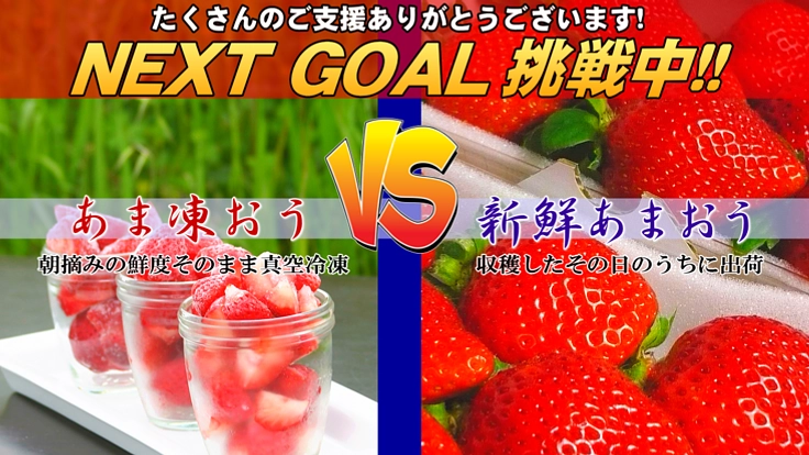●１年中、あまおうをお届けしたい！