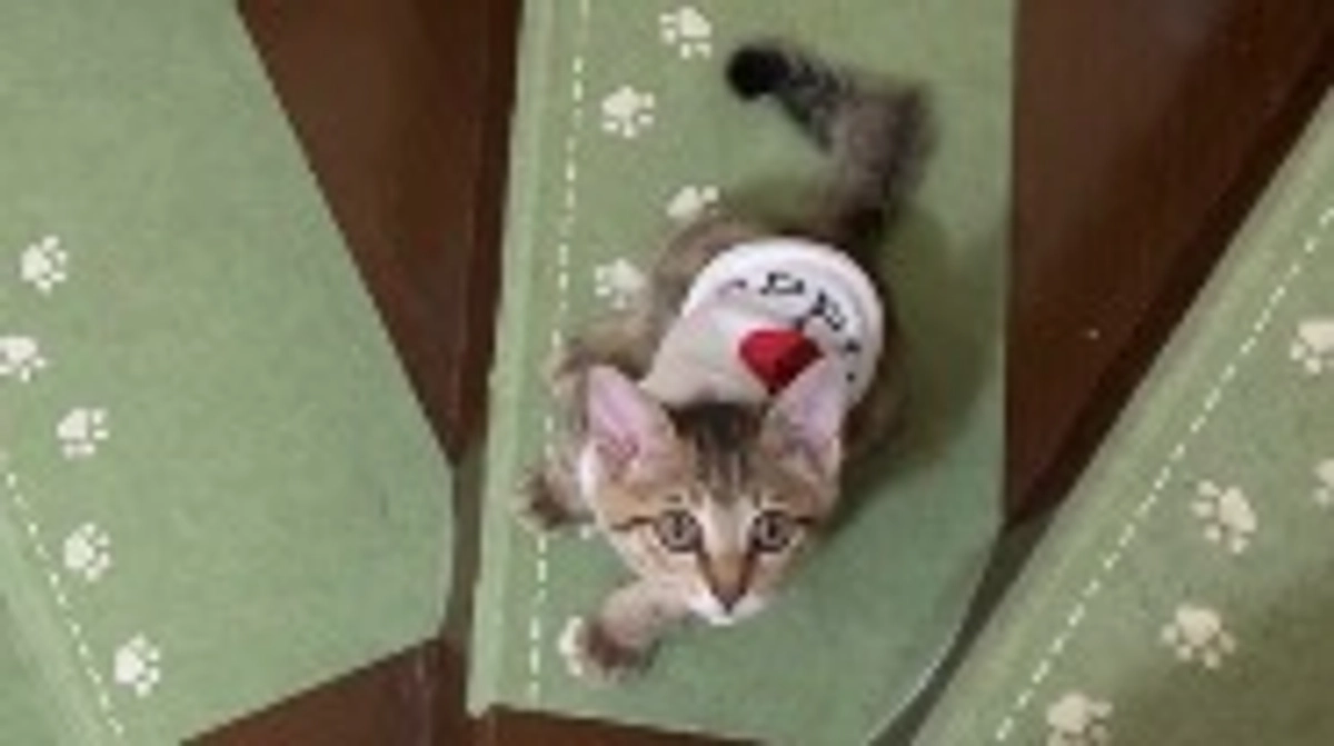 7/29(土)術後４回目の診察