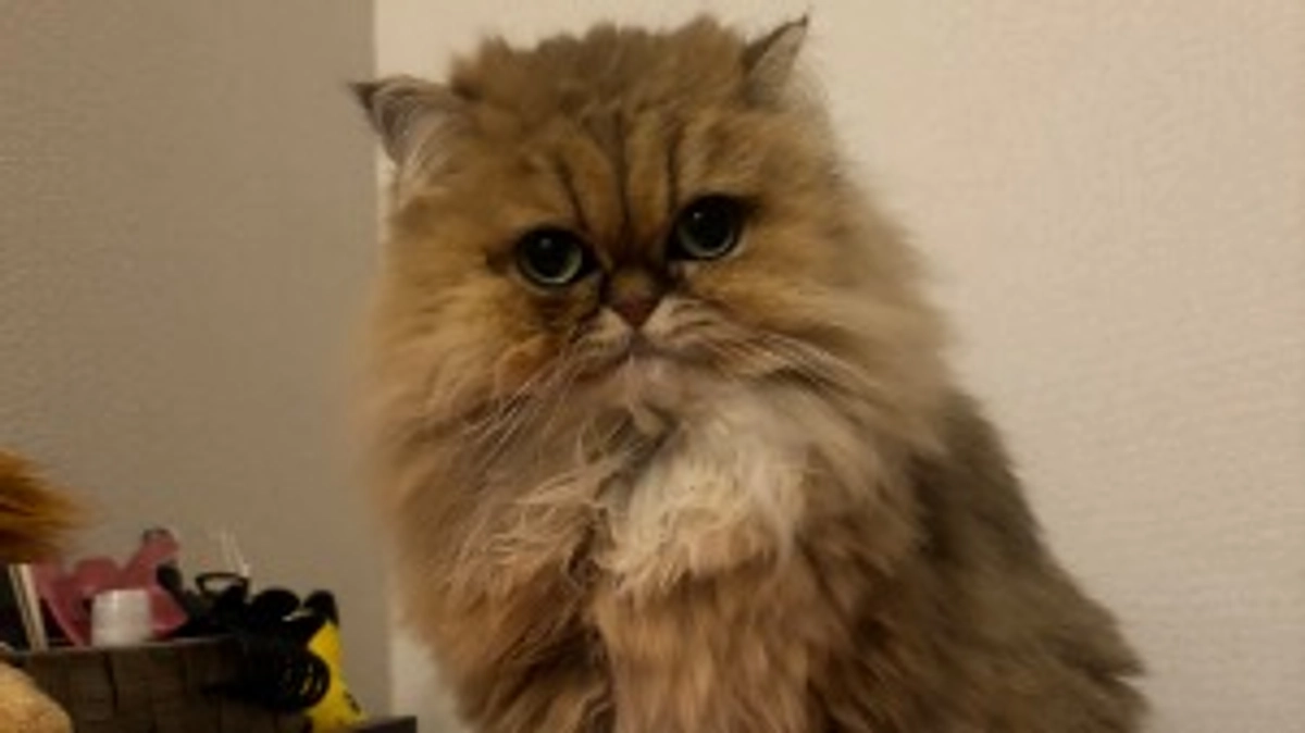 診察に行ってきました。