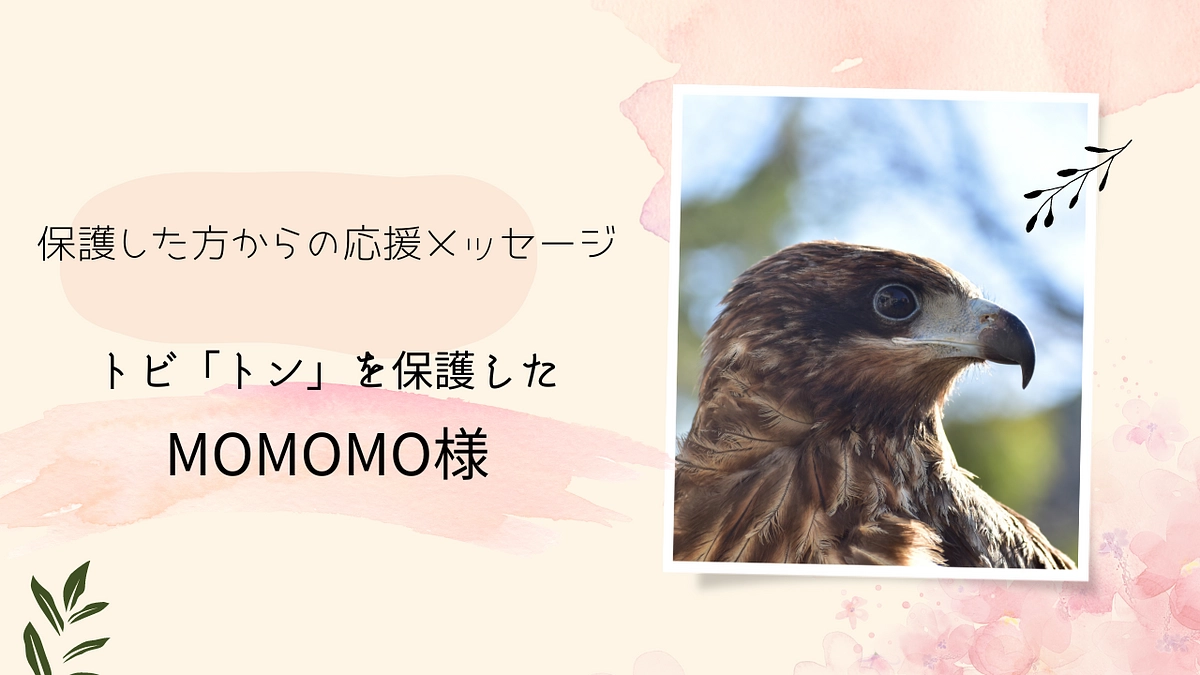 保護主様エピソードリレー Vol5：トンビ「トン」