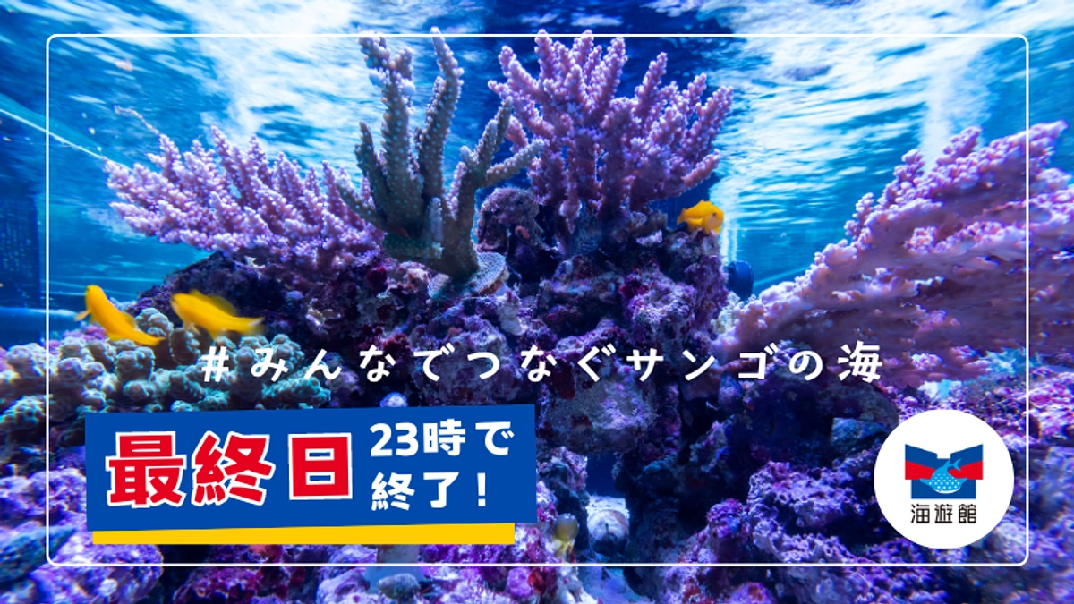 【最終日】皆様に心からの感謝を。