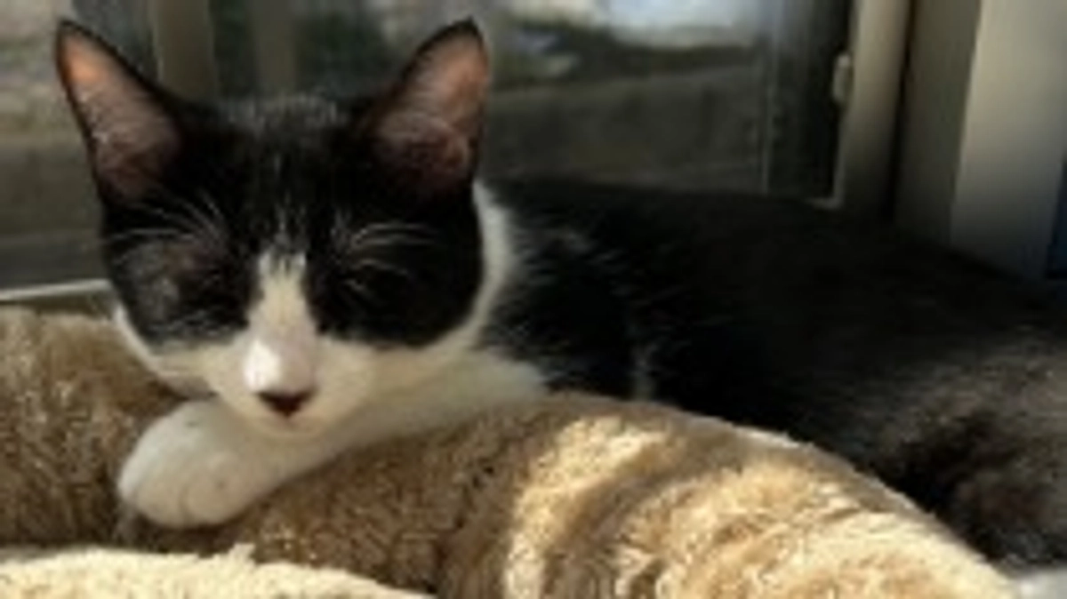 10月20日 〜 日常報告④ 〜保護から59日目