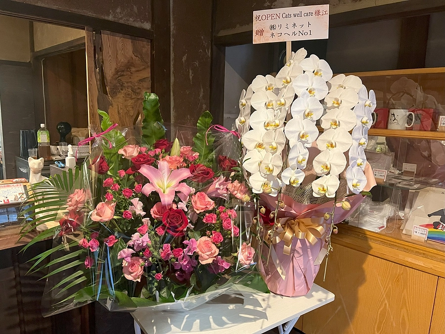 オープニングセレモニーが行われました♪