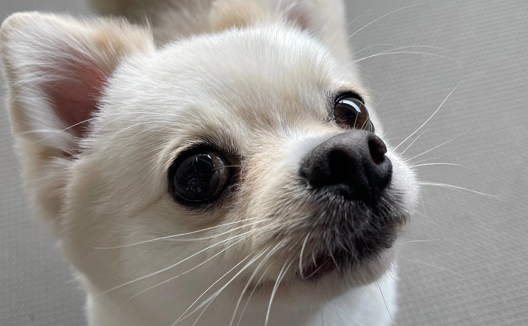 ご支援ありがとうございます①