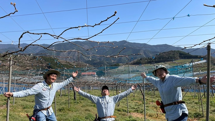 観光ぶどう園の看板をアップサイクルされたパレット材で新調したい！