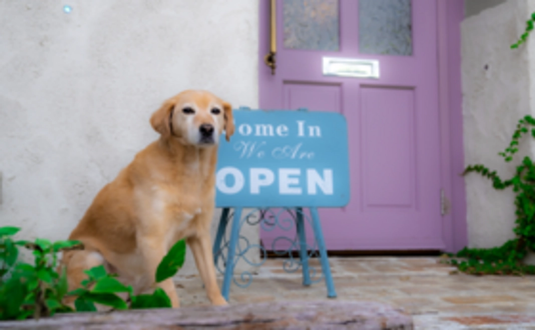 シロちゃん応援コース１