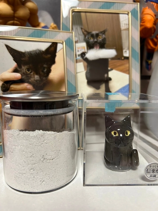 プロジェクト継続のお知らせ