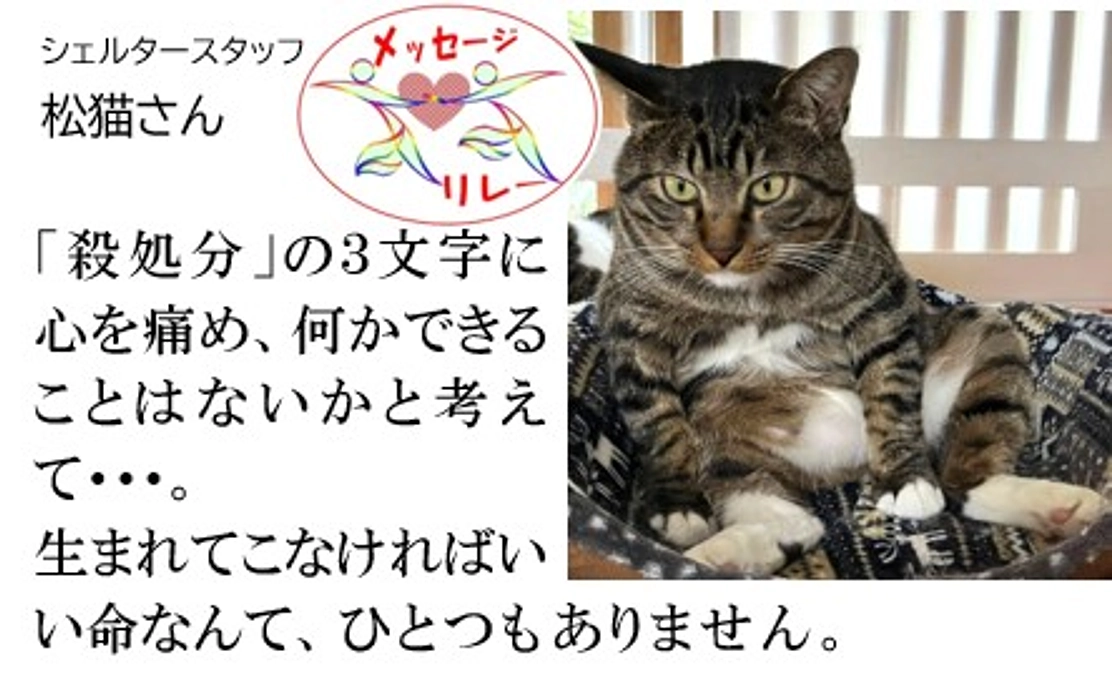 リレー６．「殺処分」の３文字に心を痛め