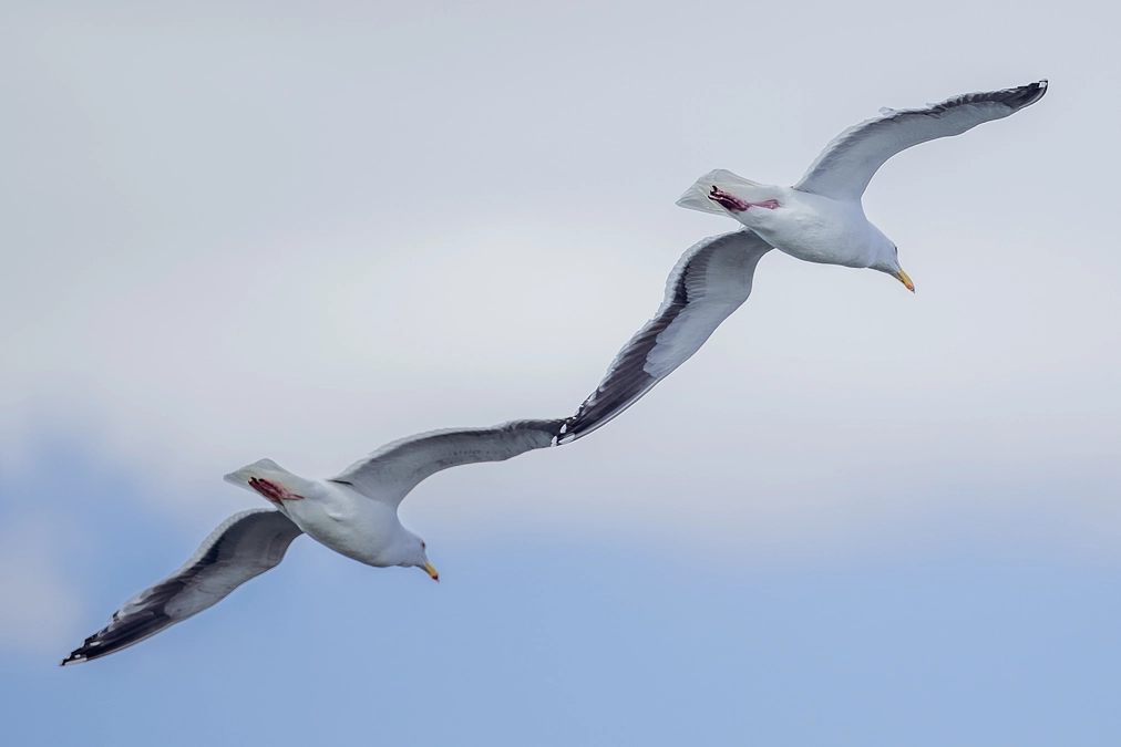 目標1100万円の70%達成！