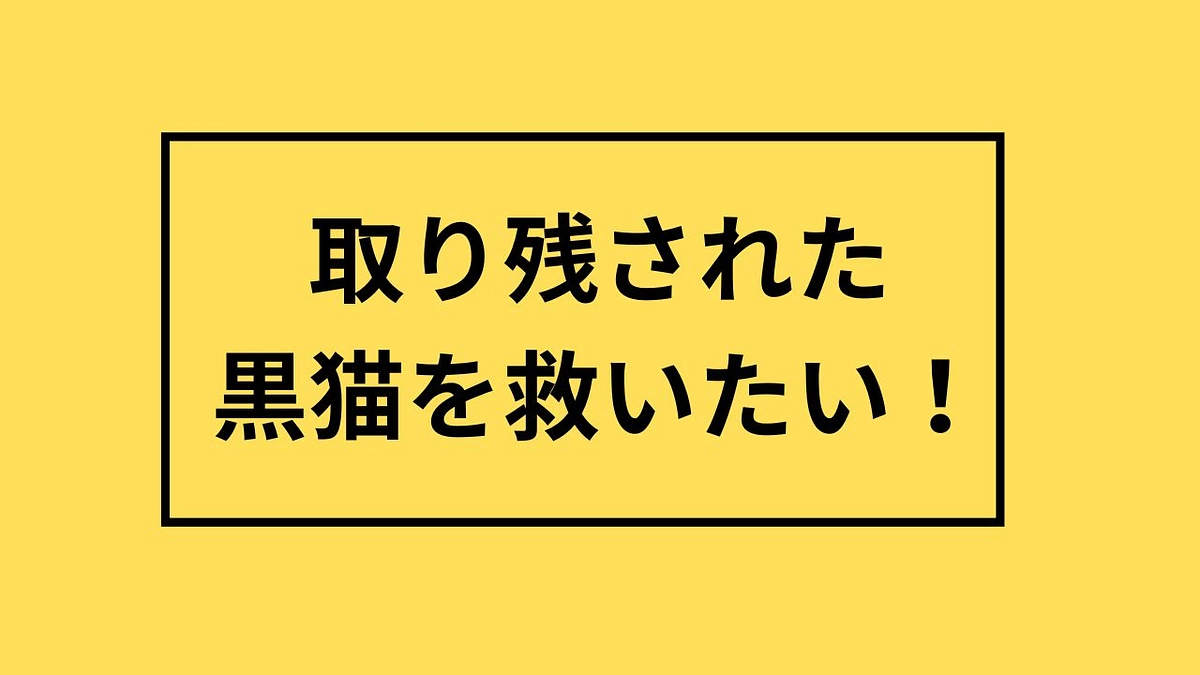 取り残された黒猫を救いたい！