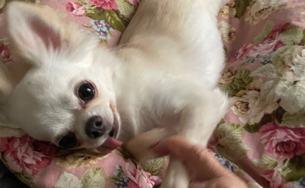 感謝のメールと活動報告300000