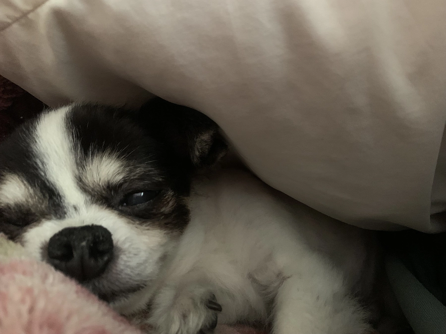 下痢、嘔吐　※閲覧注意