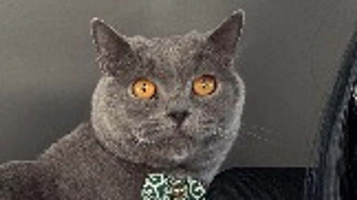 ありがとうございました。