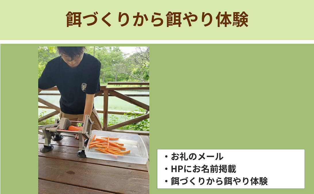 【リターン紹介】体験で応援｜餌づくりから餌やり体験