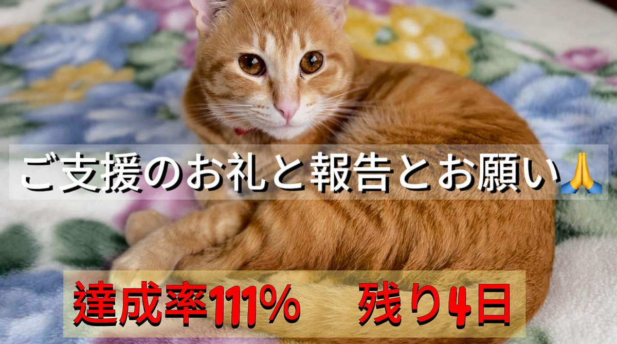 ご支援のお礼と報告とお願い（3/24）