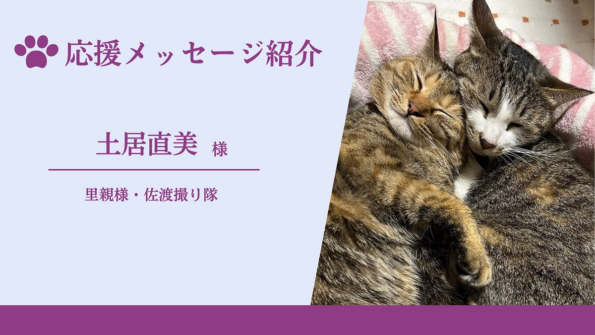 【残り9日！】応援メッセージのご紹介（里親様・佐渡撮り隊　土居直美様）