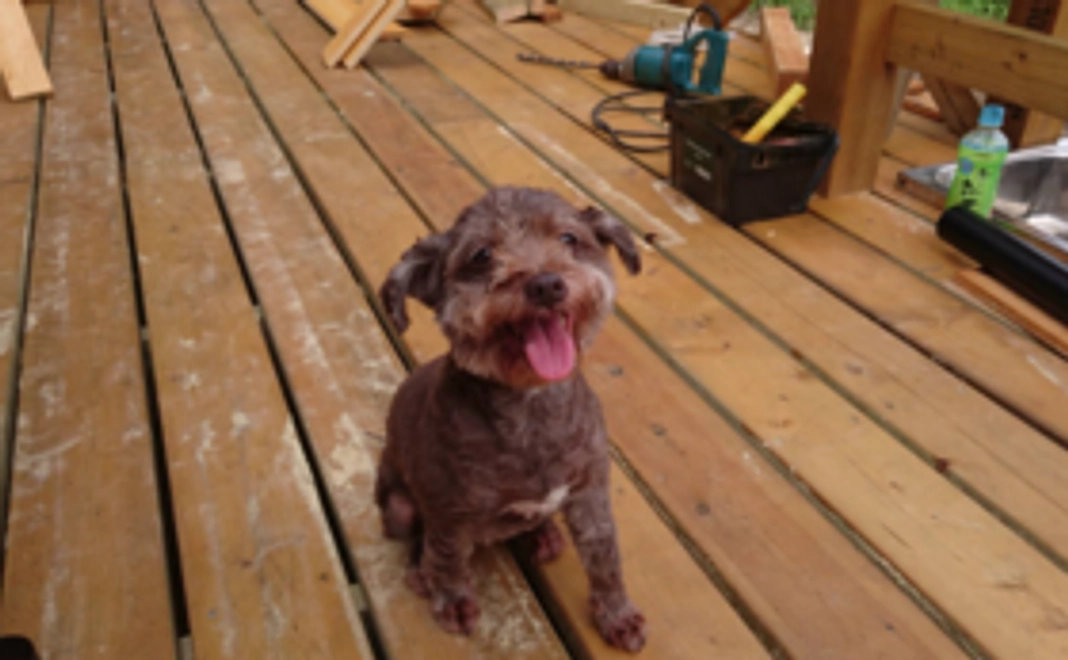 【お気軽コース】