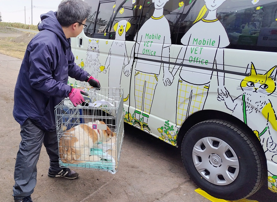 今日は最後の避妊手術でした。
