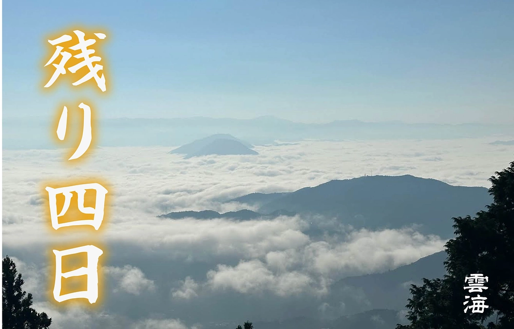 残り4日となりました。