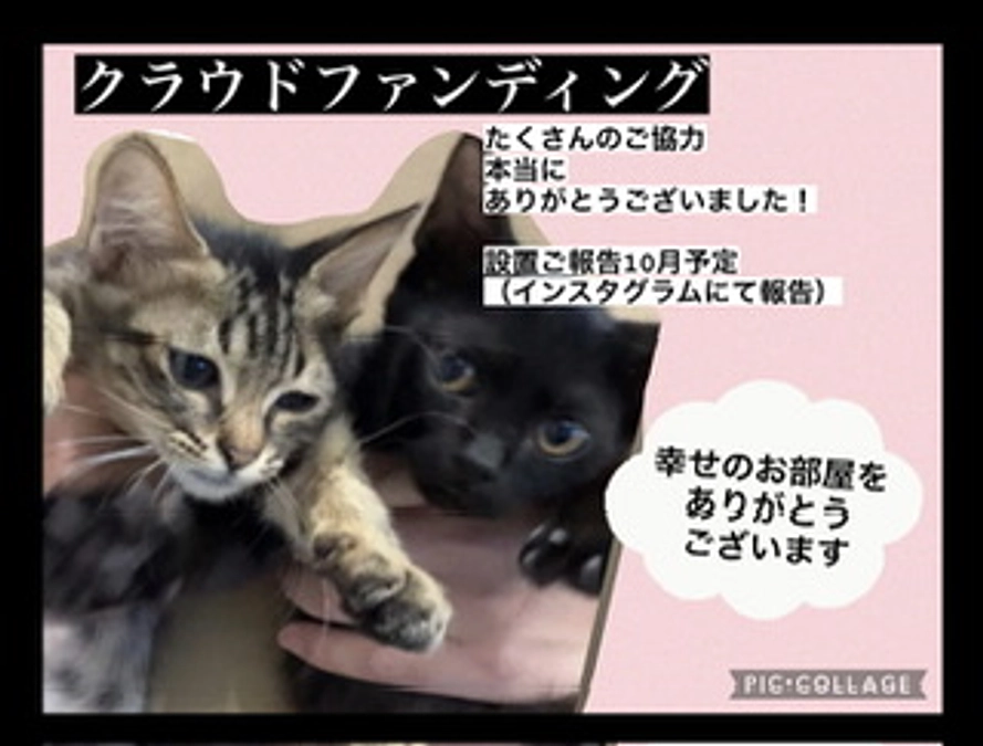 ありがとうございます