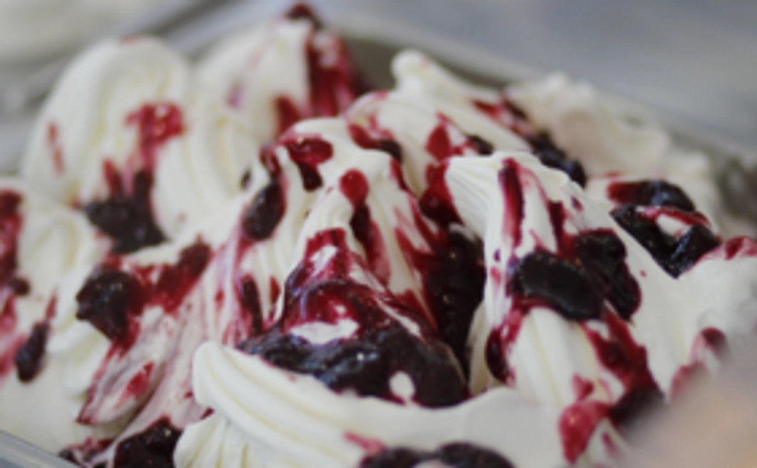 新店舗にて新商品ジェラート8個セット