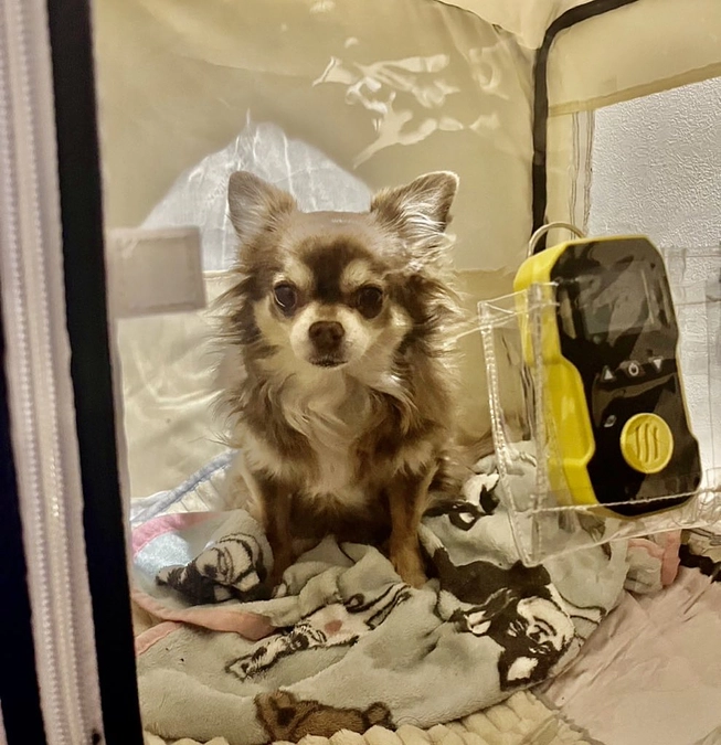 酸素室で一晩過ごしました。