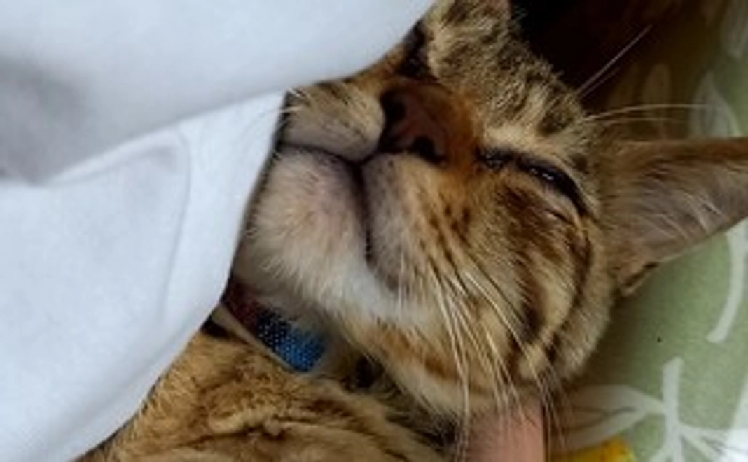 感謝のメール00【ご支援よろしくお願いします】