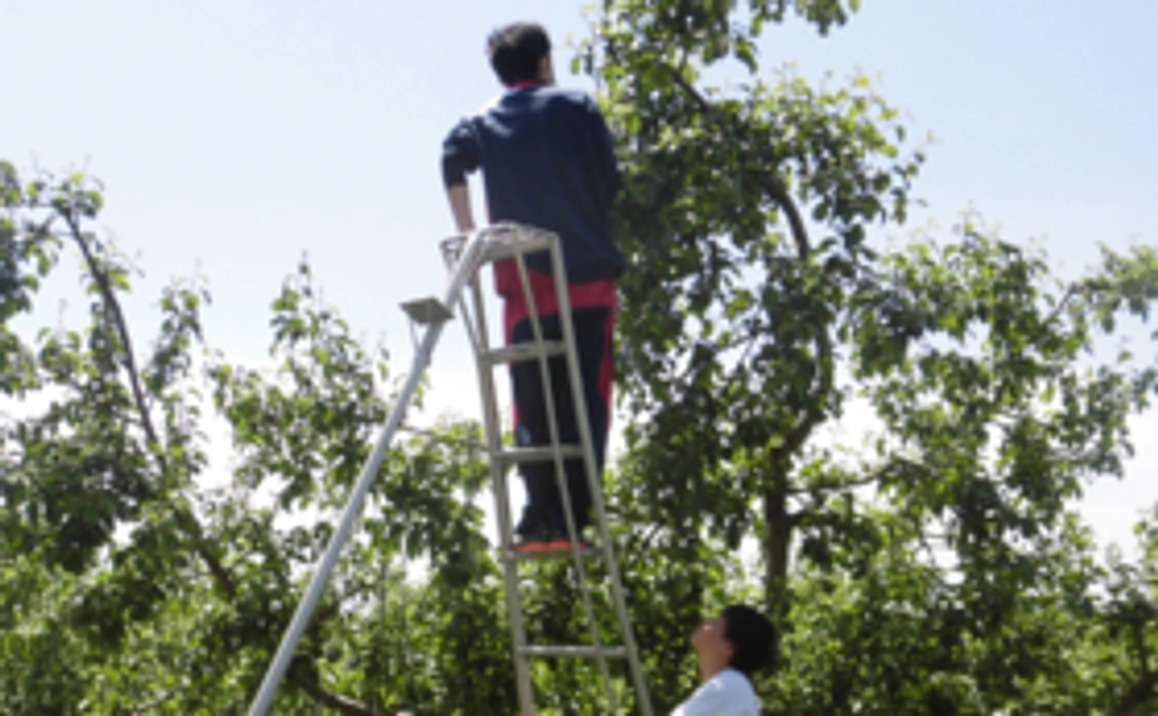 北部高校の地域おこしを応援してください！