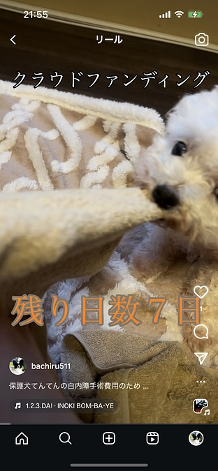 残り日数が7日となってしまいました💦