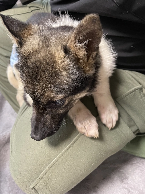 募集終了まで15日