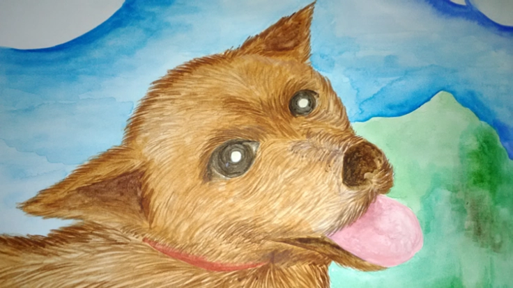 コロナで疲れた心を癒す絵本出版