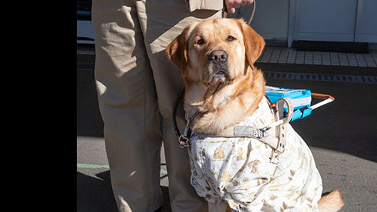 ユーザーさんからのメッセージ（松井進氏）