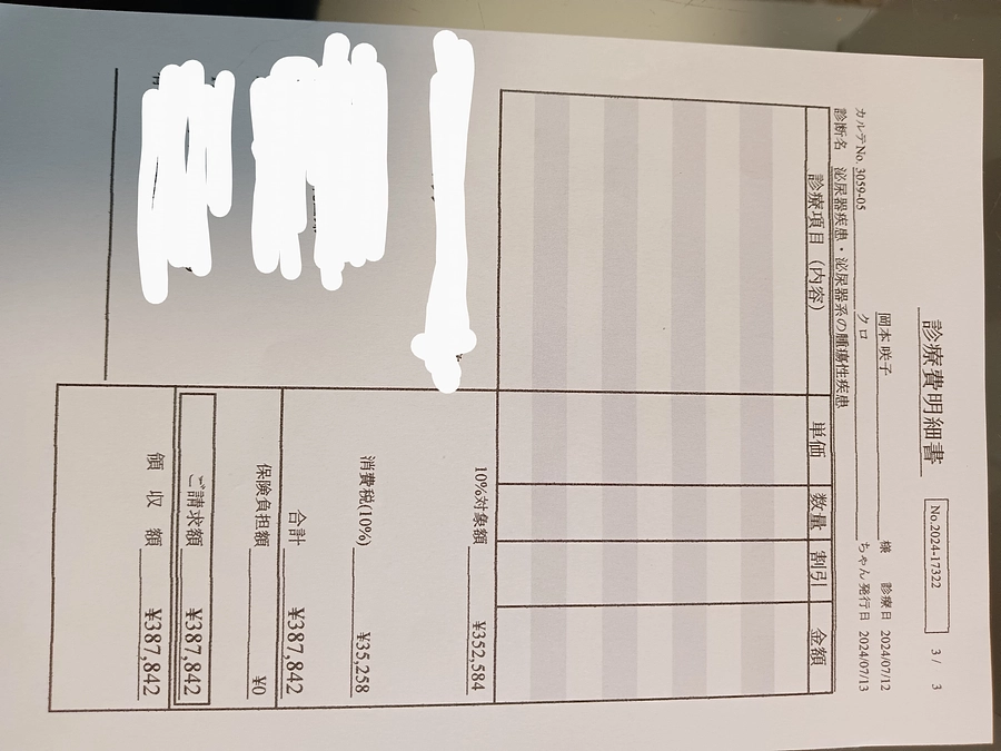 手術、入院費の明細のご報告